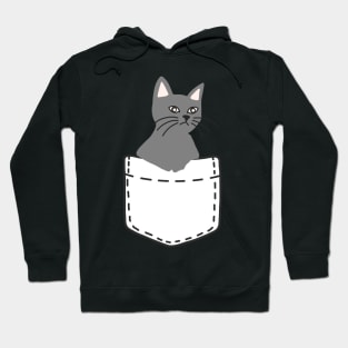 Grey Cat Hoodie